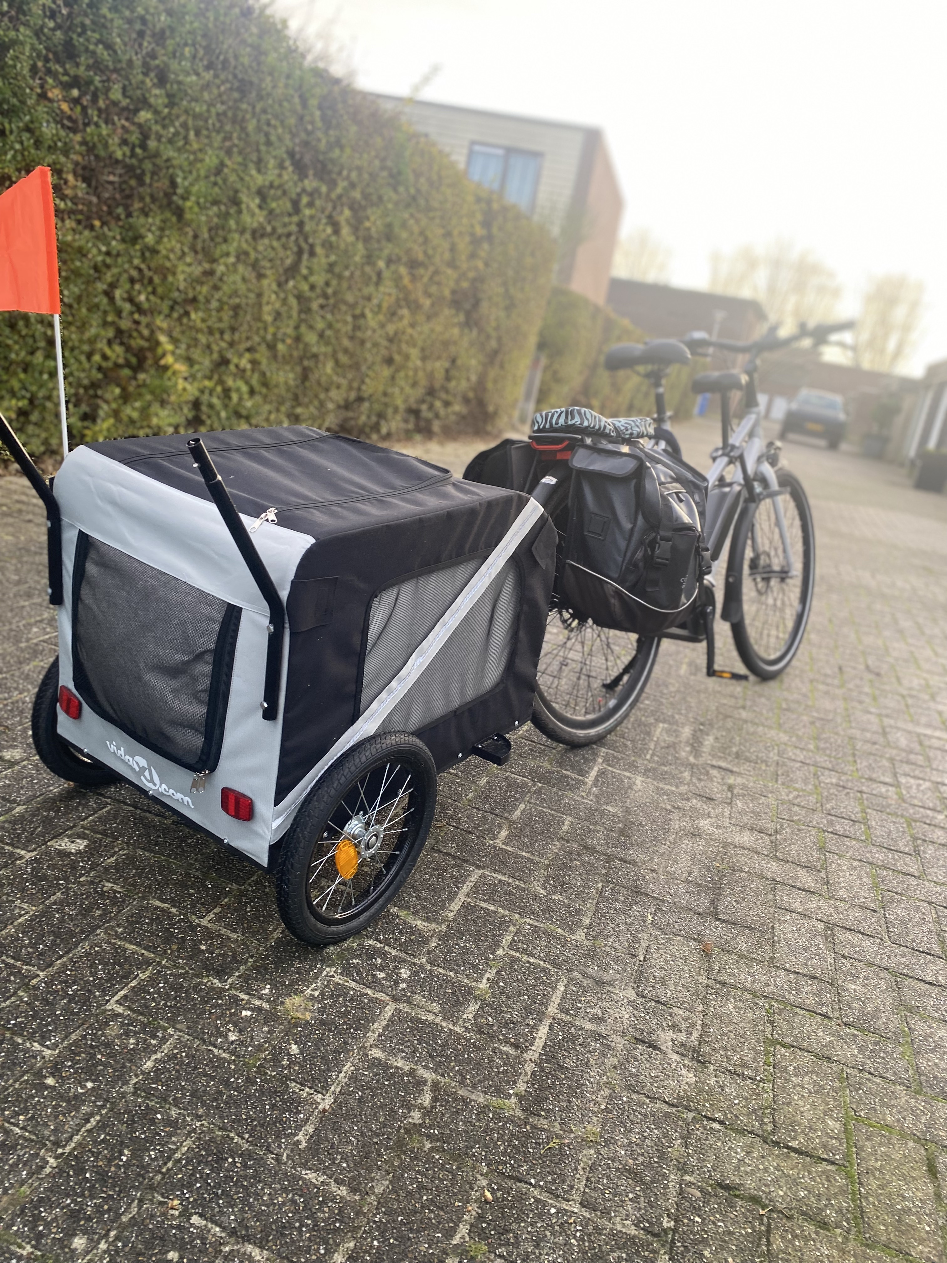 LokaalEi bezorgt verse eieren op de fiets in Zwolle